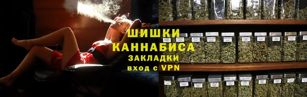 мдпв Осинники