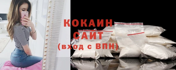 мдпв Осинники