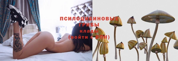 бошки Осташков