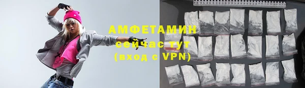 тгк Пересвет