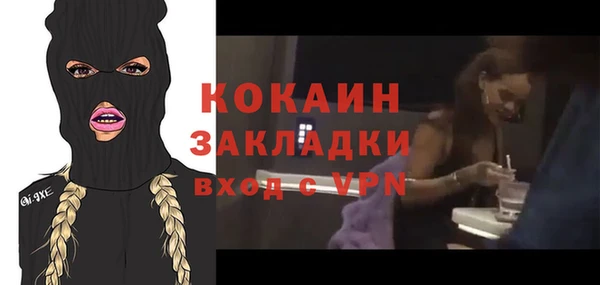 мдпв Осинники