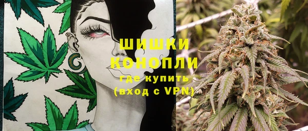 мдпв Осинники
