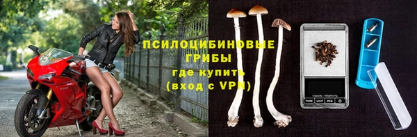 мдпв Осинники