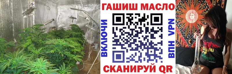 Купить где  Приморск  Дистиллят ТГК гашишное масло 