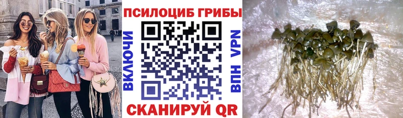 Купить закладки  Приморск  Галлюциногенные грибы мухоморы 